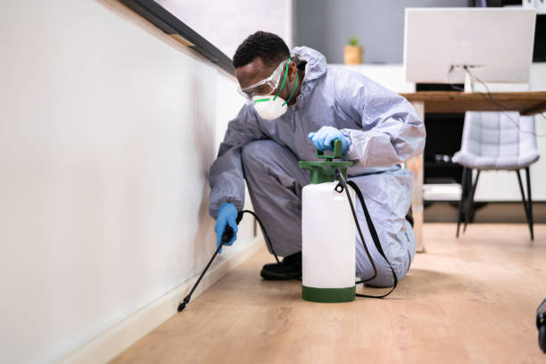 Best Residential Pest Control  in Beavercreek, OR